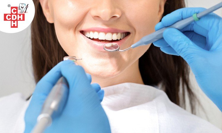 Overview of the Dentist and Orthodontist